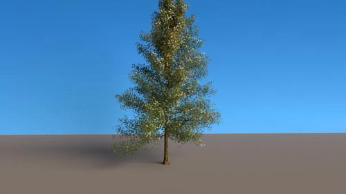 Realistic tree preview image